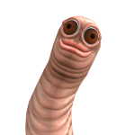 @Whereisrishi