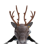 @daveed_623