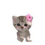 @FlamingoPinkHearts