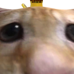 @Toothlesssharkey