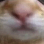 @uznique