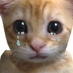 @player11551177