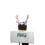 @shrupl