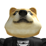 @DogePlaysRoblox165
