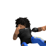 @300KSHII