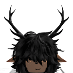 @roblox_user_295864607
