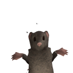 @bensrs
