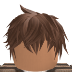 @roblox_user_4541025430
