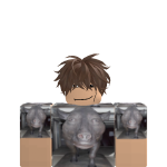 @pokebostx