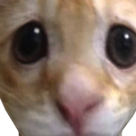 @Najagamingsim