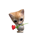 @azaz119474