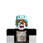 @joaogabrielbr1454
