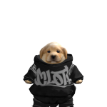 @Vixoh0o0