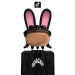 @Wilkthemdown