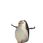 Skipper