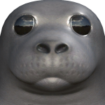 @memeboiplay