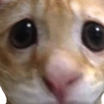 @irxbyy