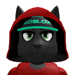 @KittyRBLX95