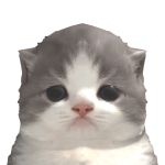 @dahpluuh
