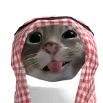 @shainted