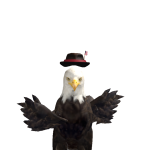 @Eagleusa5672