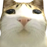 @hhghfhfvsh