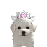 @Heypomerania