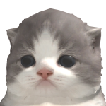 @advanced_server