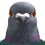 Senko176