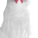 @PandineoGamerBloxYT