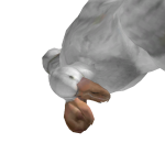 @Cd0g_8