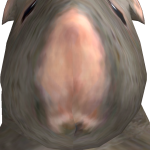 @1_Spongebop