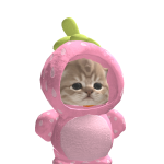 @user304173