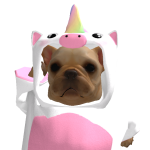 @PuggleSuds