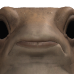 @brickbod