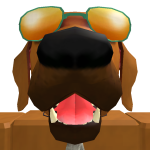 @roblox30365