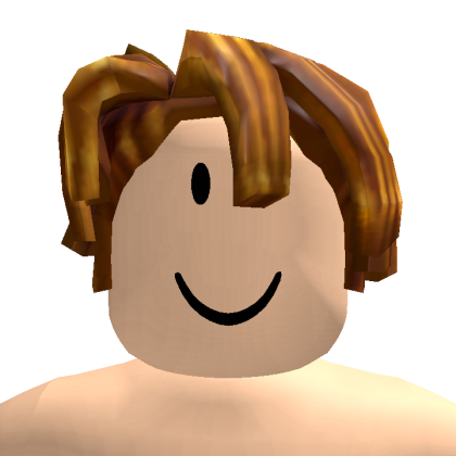 Roblox profile picture for @metaxotoss