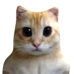MORGAR_3