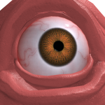 @dandomea