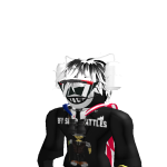 @aRaccoon_Dev