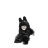 zdino_ez