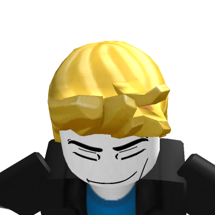 Roblox profile picture for @sryadav
