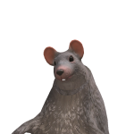 @c0fynn