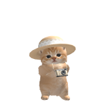 @wo_0zz
