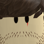 @EnChalecadoooooooooo