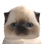 @vicq2e