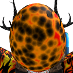 @kylespeed4242