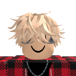 @S_4roblox