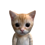 @whos_ainslee