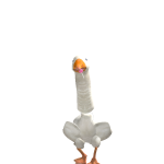 @sjw20113